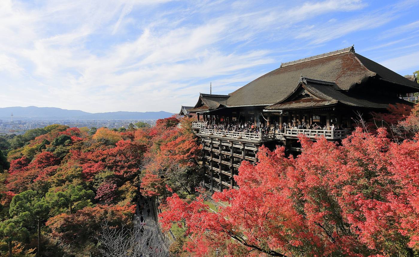 紅葉に包まれた清水寺の本堂と舞台