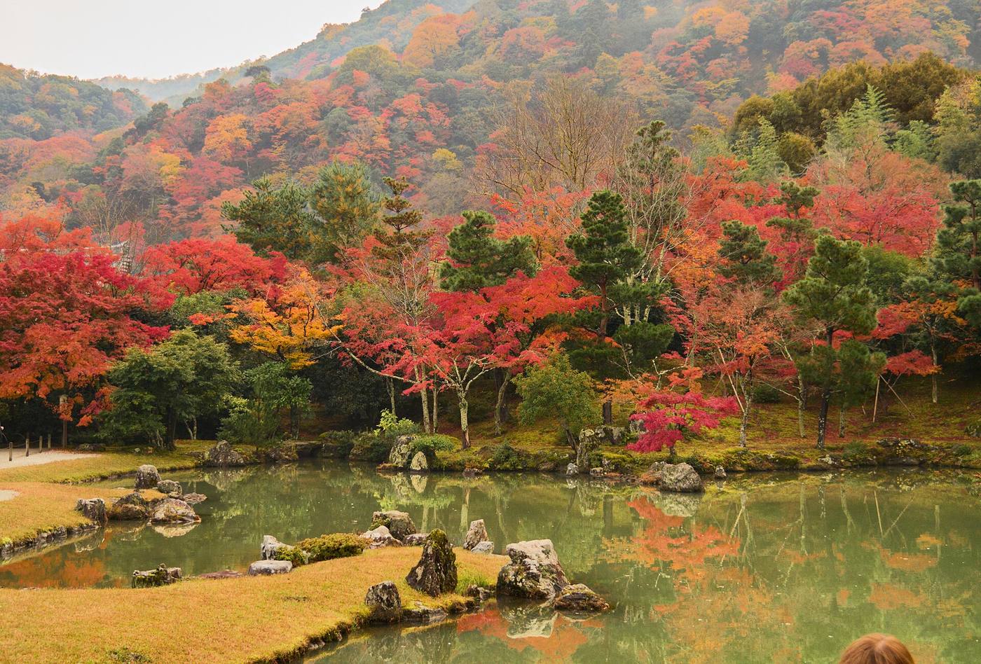 天龍寺・曹源池庭園と紅葉した木々